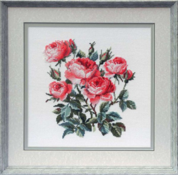 Садовые розы Риолис 1046, цена 1 057 руб. - интернет-магазин Мадам Брошкина